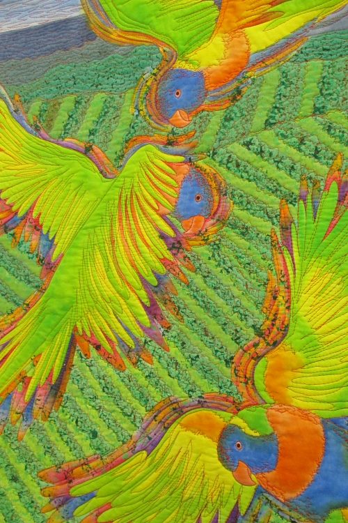 vineyard birds