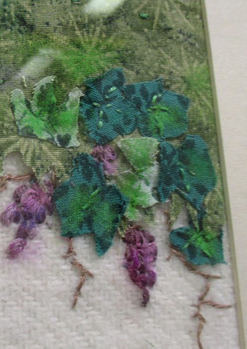 vineyard green leaves