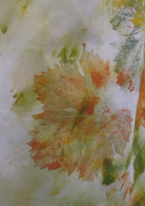 vineyard orange leaves