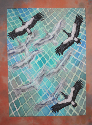 wetland magpie goose path